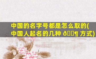 中国的名字号都是怎么取的(中国人起名的几种 🐶 方式)